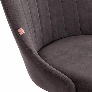 ���� ������������ Tetchair Swan