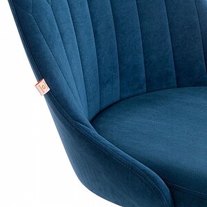 ���� ������������ Tetchair Swan