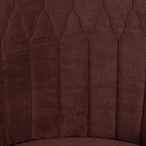 ���� ������������ Tetchair Swan