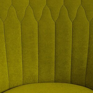 ���� ������������ Tetchair Swan