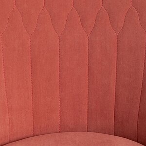 ���� ������������ Tetchair Swan