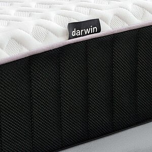 ������ darwin Life Spring � �������������� ����������� � � ������