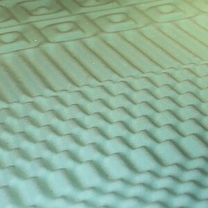 ������ darwin Zone Spring � ���� 19967 �. � � ������