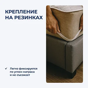 ����������������� ����������� Daily Cover � �� �������� �� ����� � 79 ��������