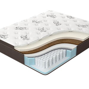  Orto Premium Middle