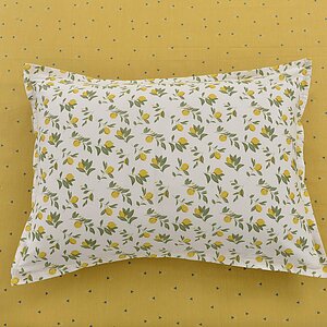 ���������� ����� Sofi De Marko ������ � ����� � 49 ��������