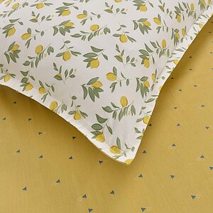 ���������� ����� Sofi De Marko ������ � ���� 11520 �. � �����