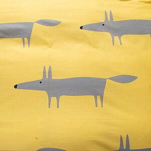 ���������� ����� ���� �� ����� Foxi