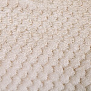 ���� Sofi De Marko �����, �������� � ���� 6856 �. � 61 ������