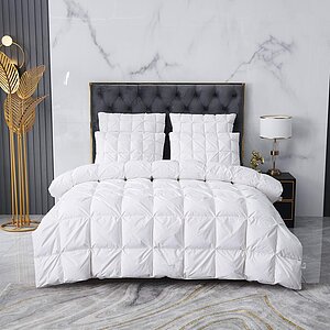 ������ Sofi De Marko �����