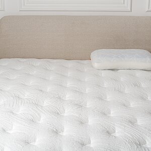 ������� ������� Aqua Soft