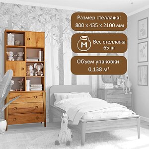 ������� 38 �������� ���� �������