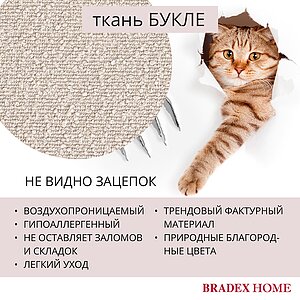  Bradexhome Ant  2-   