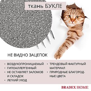  Bradexhome Ant  2-   