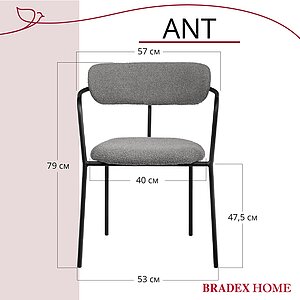  Bradexhome Ant  2-   