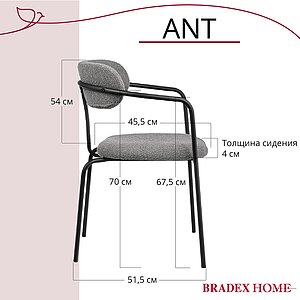  Bradexhome Ant  2-   