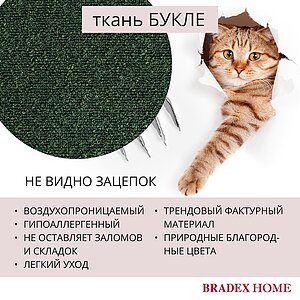  Bradexhome Ant  2-   