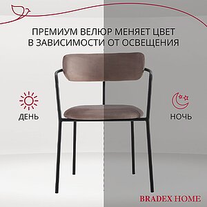  Bradexhome Ant  2-  