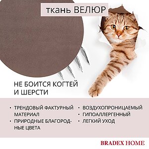  Bradexhome Ant  2-  