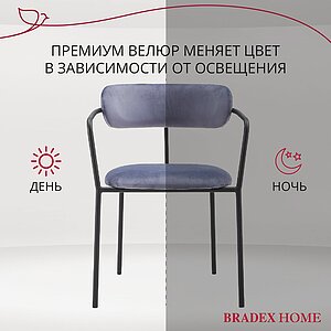  Bradexhome Ant  2-  