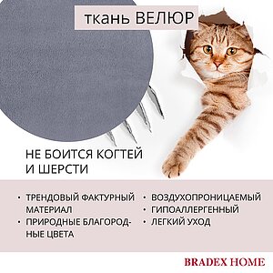  Bradexhome Ant  2-  