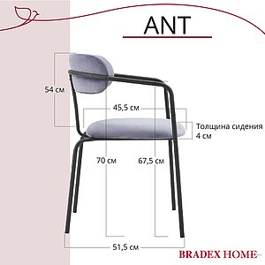  Bradexhome Ant  2-  