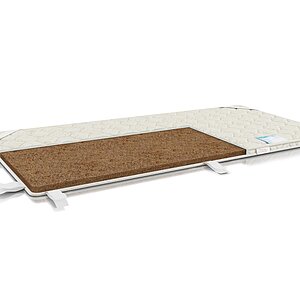  Alitte Judd H-3-N