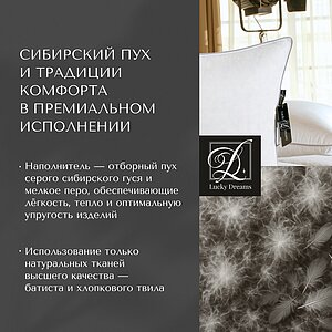 ������ ������� Lucky Dreams Desire, ������ � ���� 27430 �. � 17 ��������