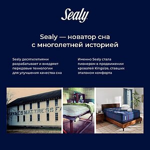 ������ Sealy Hybrid Plush � ������-������� ������ � �������� 10 ���