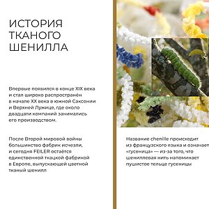 ���� Feiler Ekaterina � ���� 65000 �.