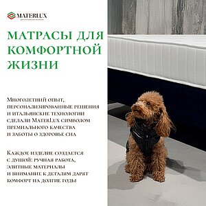 ������ Materlux Pisa � ����������� ��������� ����� � ������������ ��� ������ ������������: 130 ��.