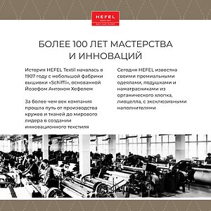 ������ Hefel Pure Camel GD Light � ���� 48363 �. � 18 ��������