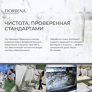 ������ Dorbena Premium Tencel Silver Complit QQQ, ������� � ���� 92679 �. � ���������