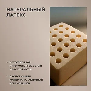 ������ Dimax ����� ���������