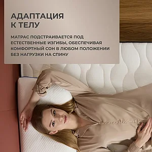 ������ Dimax ����� ���������