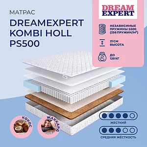 DreamExpert Kombi Holl PS500