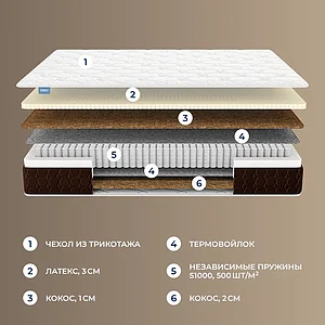 ������ Dimax ���� ������ ����