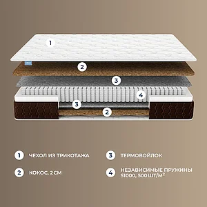 ������ Dimax ���� ����