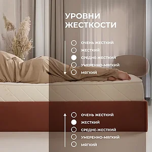 ������ Dimax ����� ���������