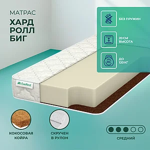 EveRest ���� ���� ���