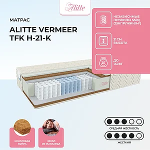 Alitte Vermeer TFK H-21-K