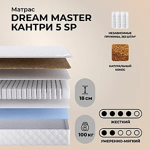 Dream Master ������ 5 SP