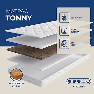 Lineaflex Tonny