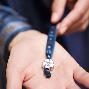 ������ ����� Mollen ������� ��������