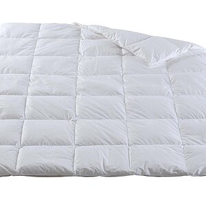 ������ Dorbena Camelia Premium, �������