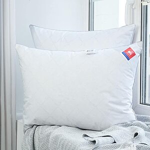 ������� ������ ��� ����� 50