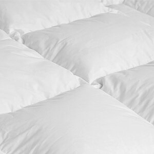 ������ DaunenStep Neostep 400 Classic Winter � ������������� ��� � 60 ��������