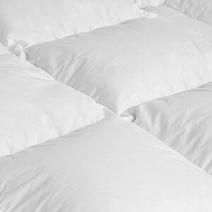 ������ DaunenStep D600 Classic Winter � ��� � 20 ��������