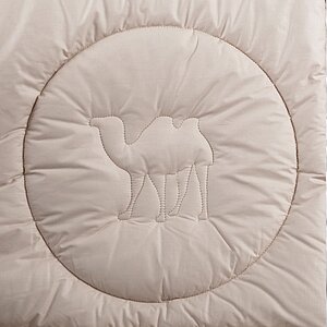 ������ ��� ����� light