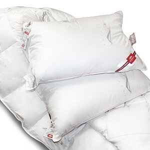 ������ ������ Kariguz Tulips, ������ ��������